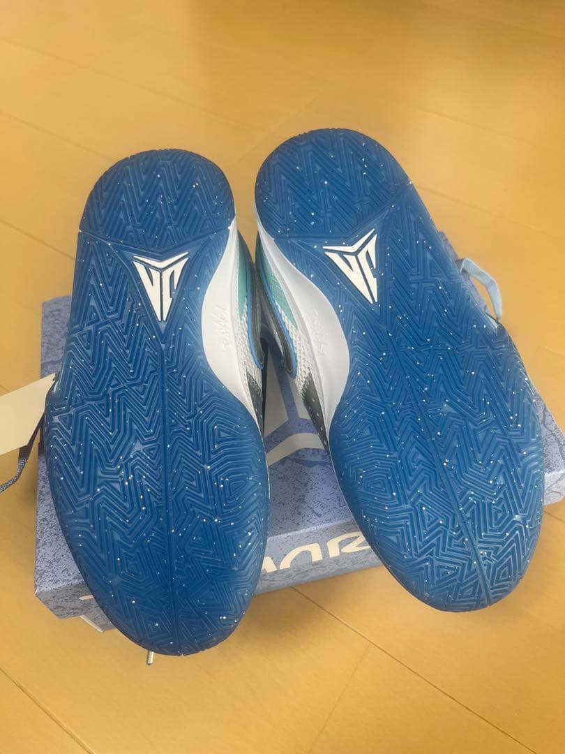 Nike JA 1 【未使用】23.5cm