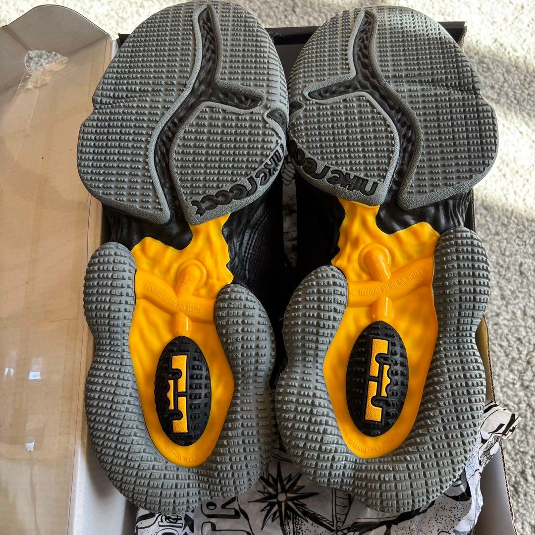 【海外限定モデル】NIKE / ナイキ LEBRON 19 LOW 26.5cm