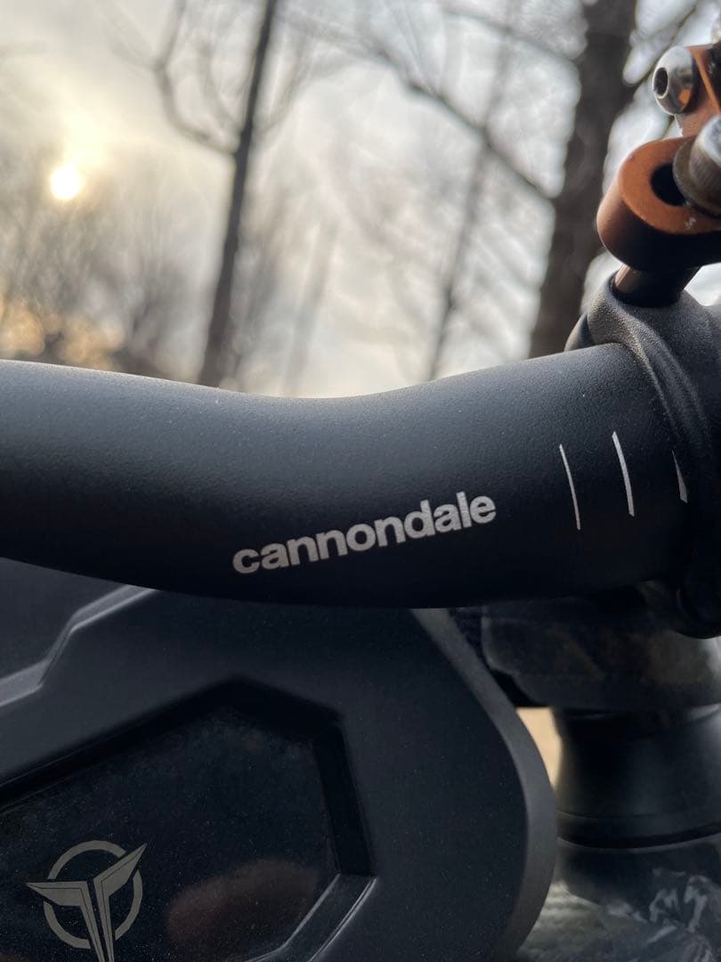 Cannondale マウンテンバイク 29 インチ