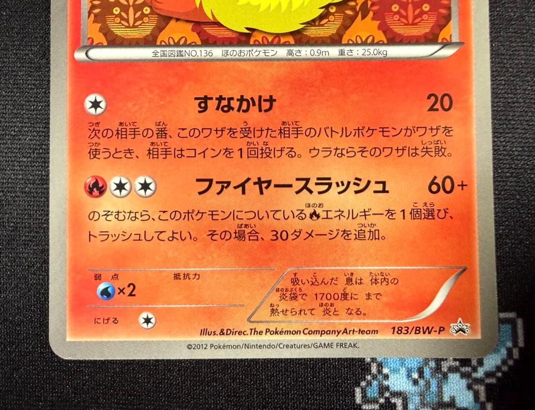 ★ポケモンカード ブースター 183/BW-P プロモ コレクションファイル★