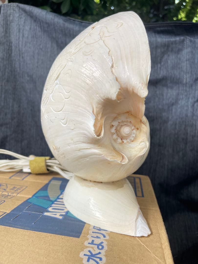 一点物 手彫りシェルランプ 彫刻入り 貝殻照明 大型 約40×50cm
