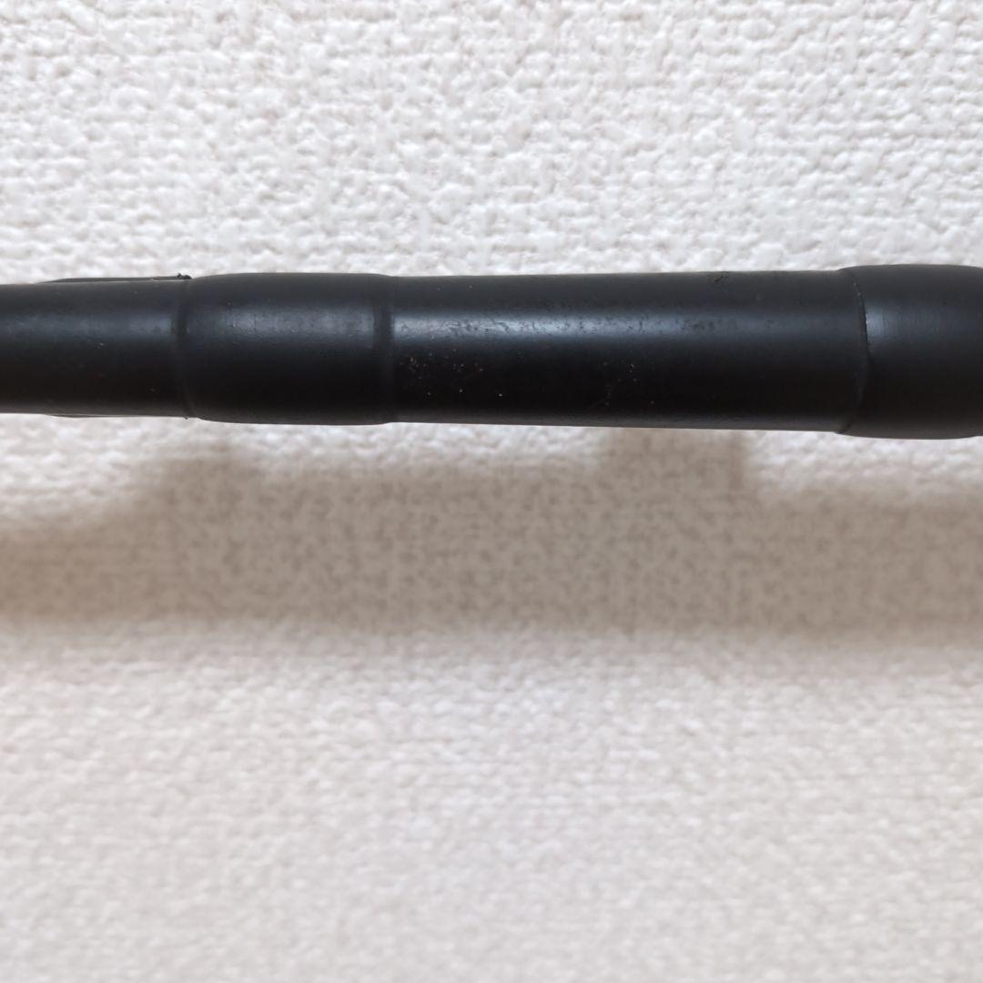 daiwa Black Lady IKADA ダイワ ブラックレディ ロッド