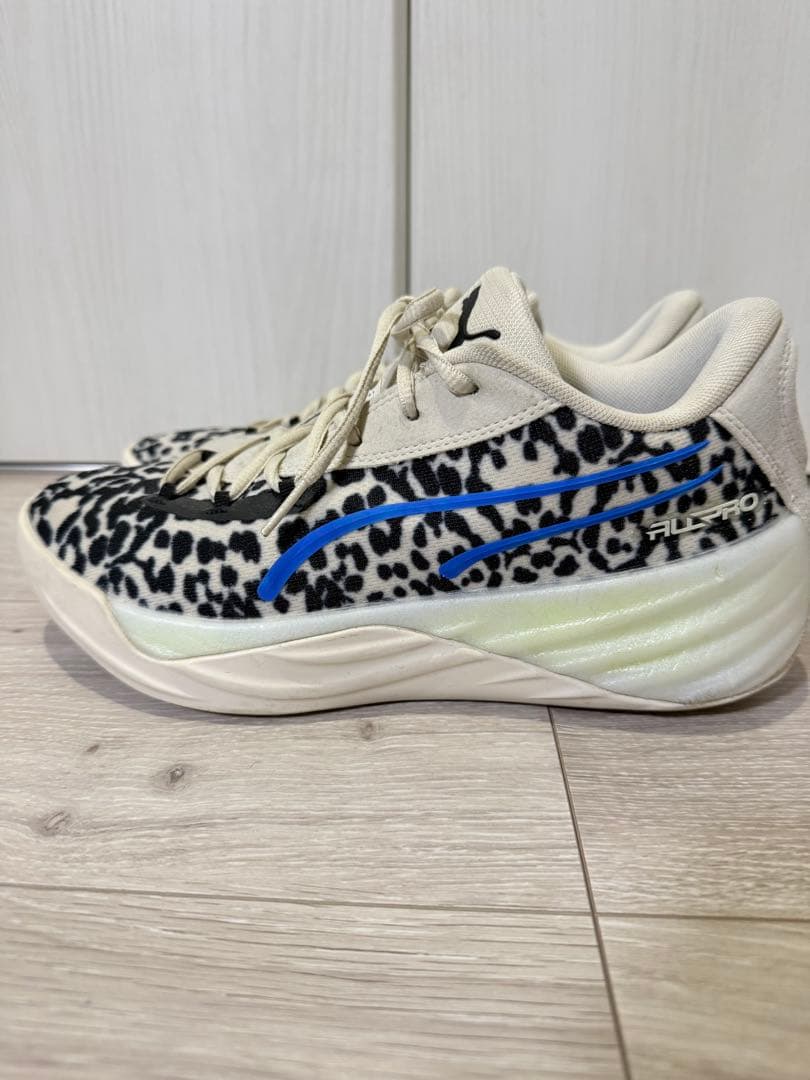 シューズ(男性用) PUMA ALL PRO NITRO
