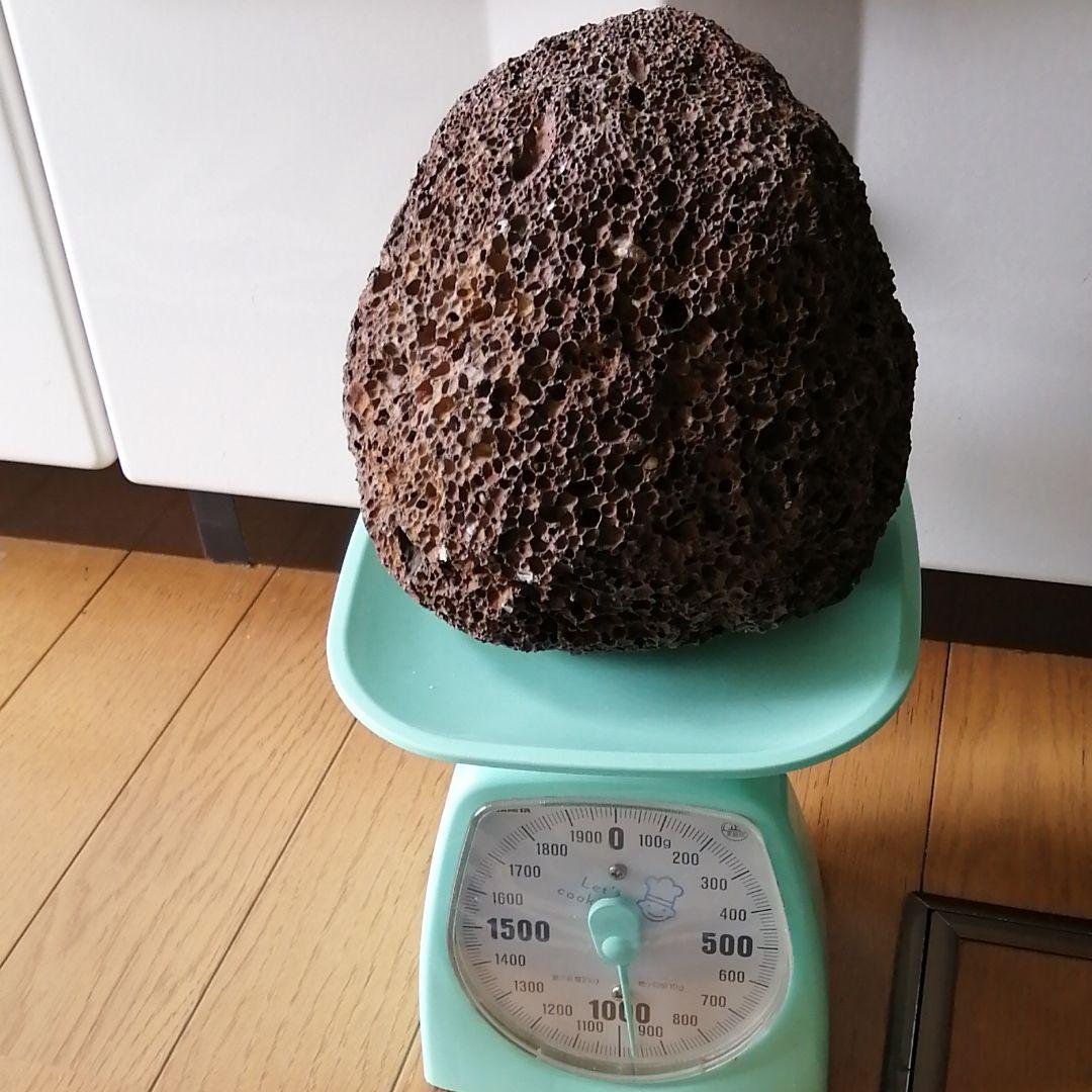 漂流物約960g石、日本海