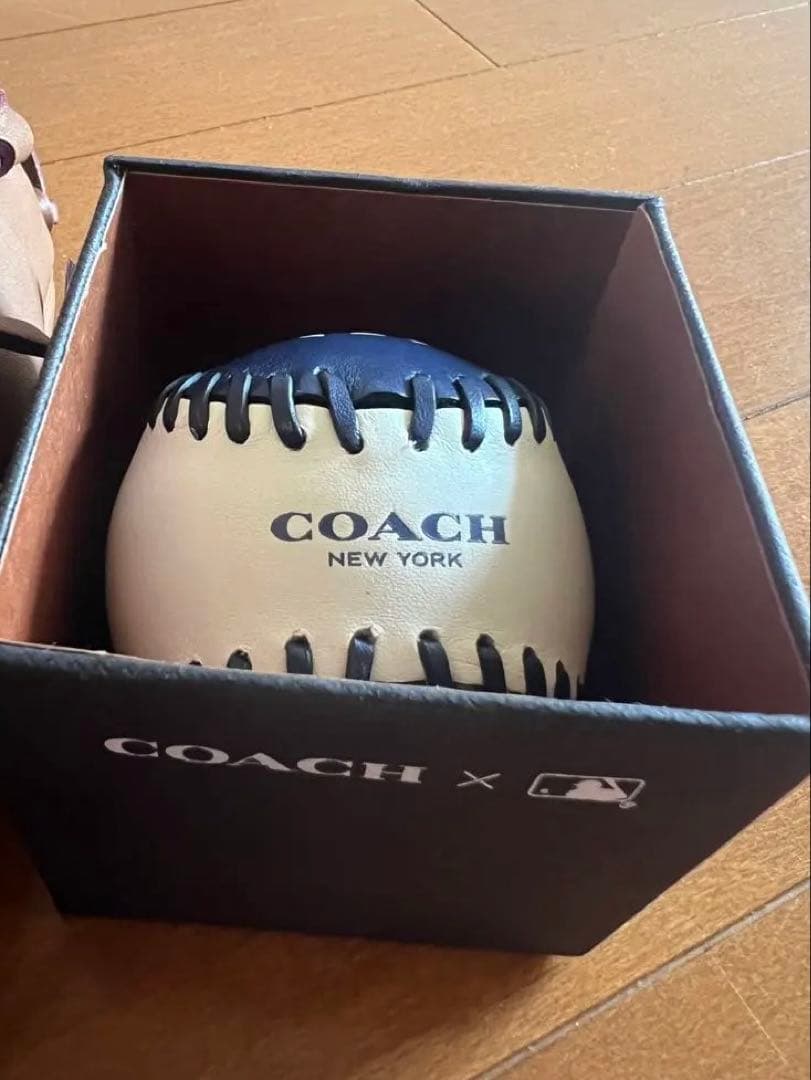 COACH new york グローブ　ボール
