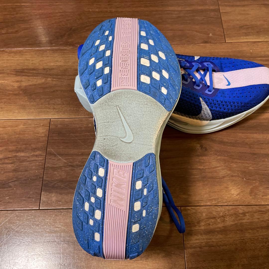 Nike ペガサスプラス　カラー:ブルー