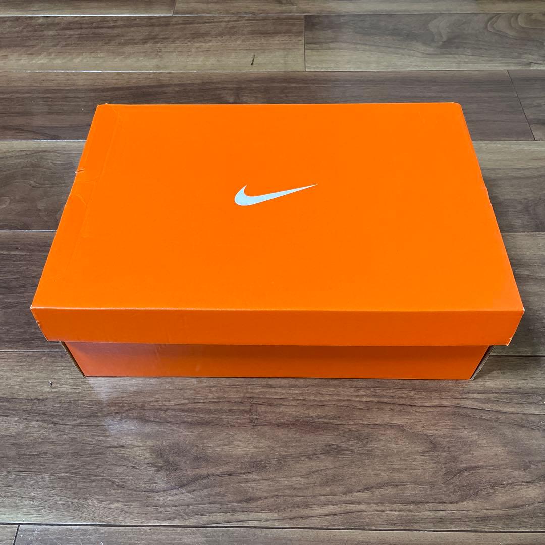 Nike ペガサスプラス　カラー:ブルー
