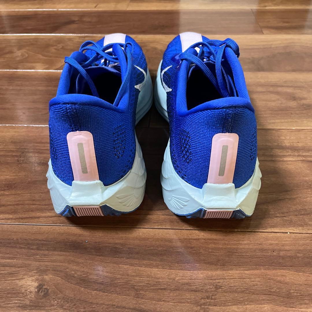 Nike ペガサスプラス　カラー:ブルー