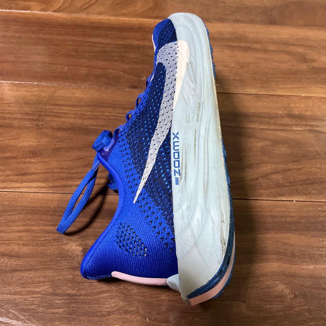 Nike ペガサスプラス　カラー:ブルー