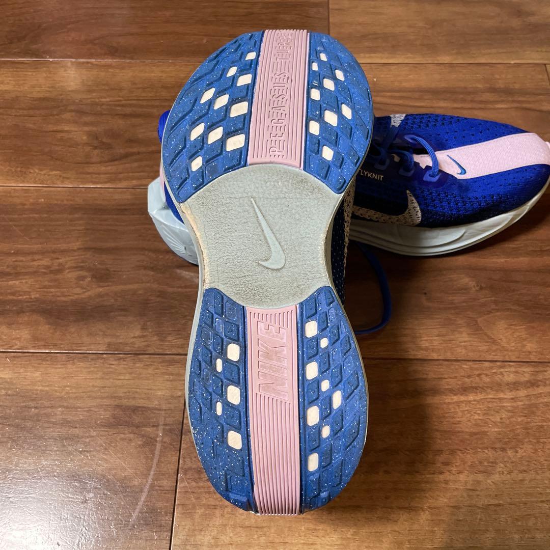 Nike ペガサスプラス　カラー:ブルー