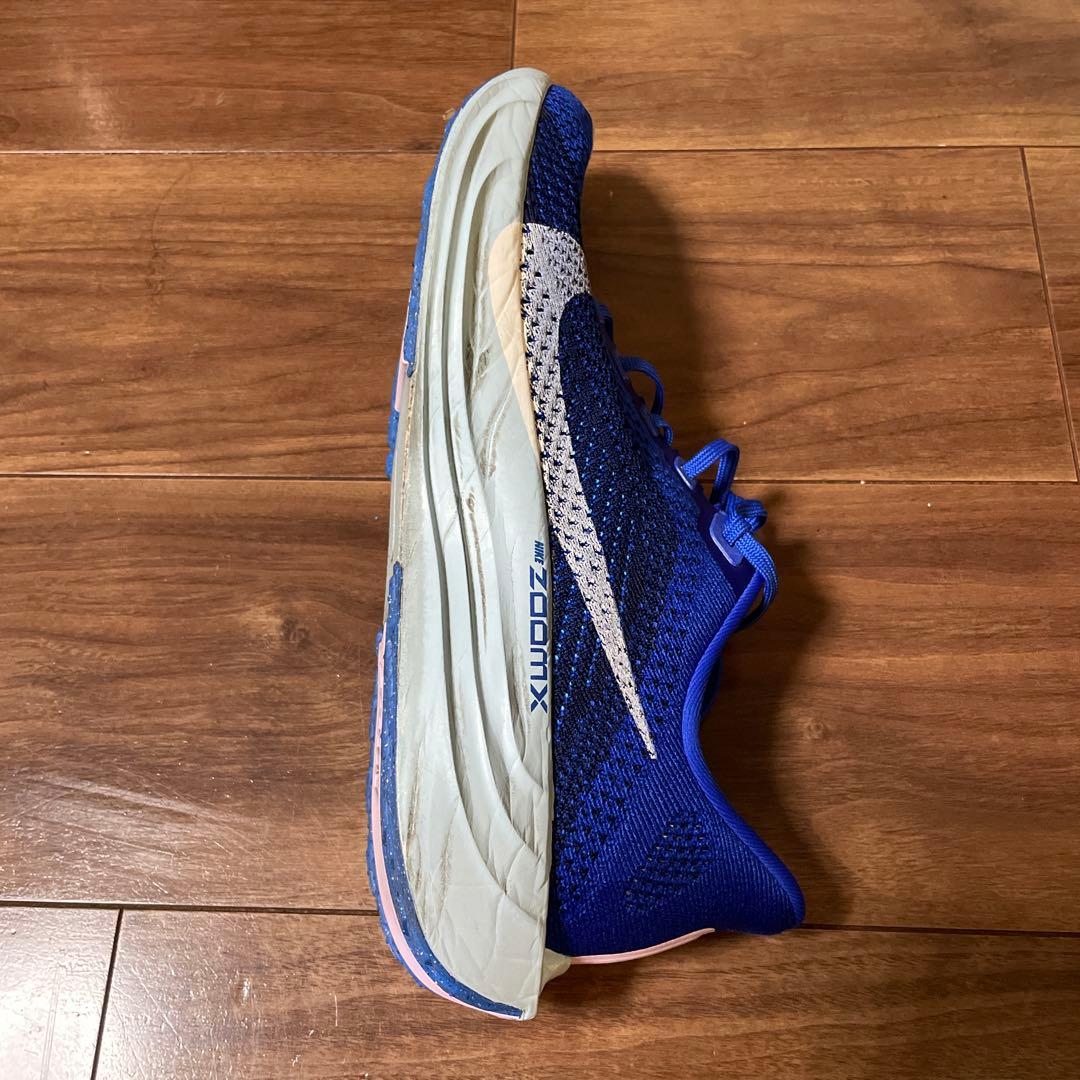 Nike ペガサスプラス　カラー:ブルー