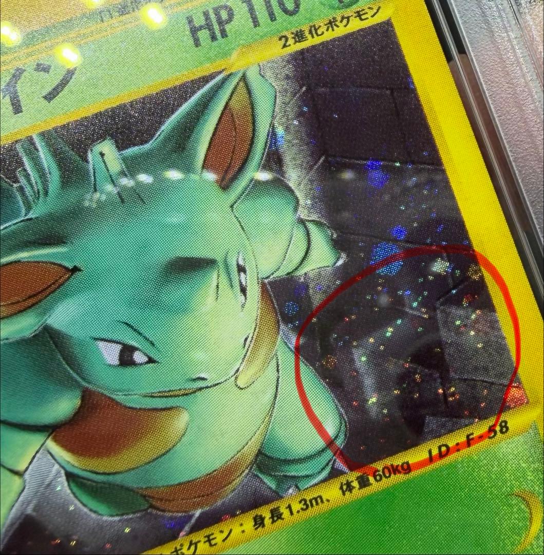 PSA10 ニドクイン カードe アンリミ ホロ