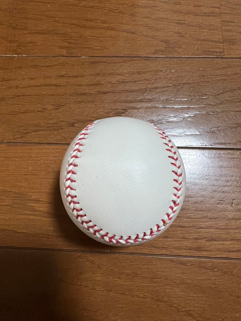 中村悠平 東京ヤクルトスワローズ 投げ込み 公式 直筆サインボール
