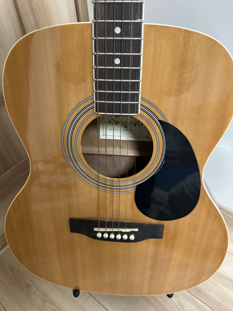 HONEY BEE（ハニービー） アコースティックギター F-15 N