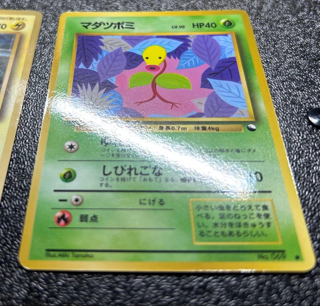 旧裏 ポケモンカード 拡張シート【ライチュウ】【イワーク】ほか全10枚セット