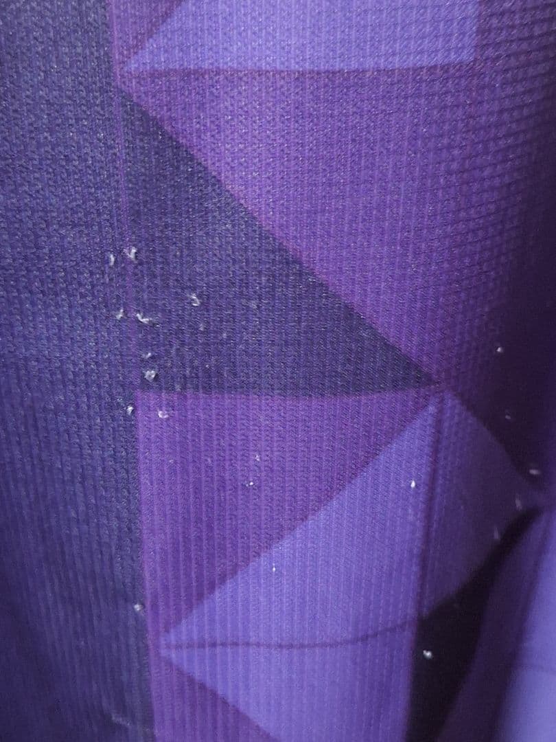 京都サンガFC 2024オーセンティック 金子大毅 4XL