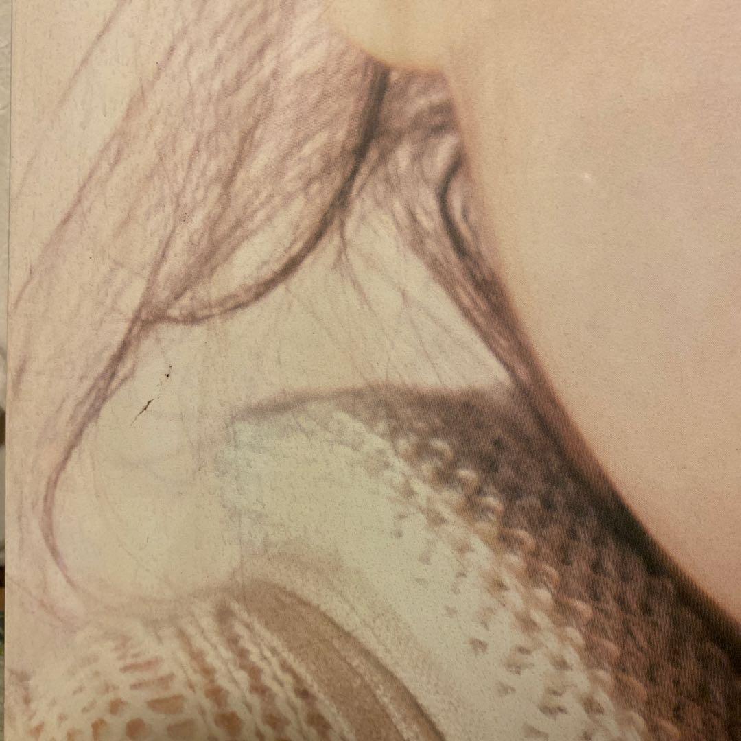 中森明菜　木製パネルポスター