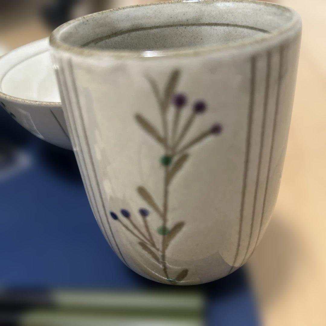 【NIPPON CRAFT】カップル用箸と茶碗等の食器セット