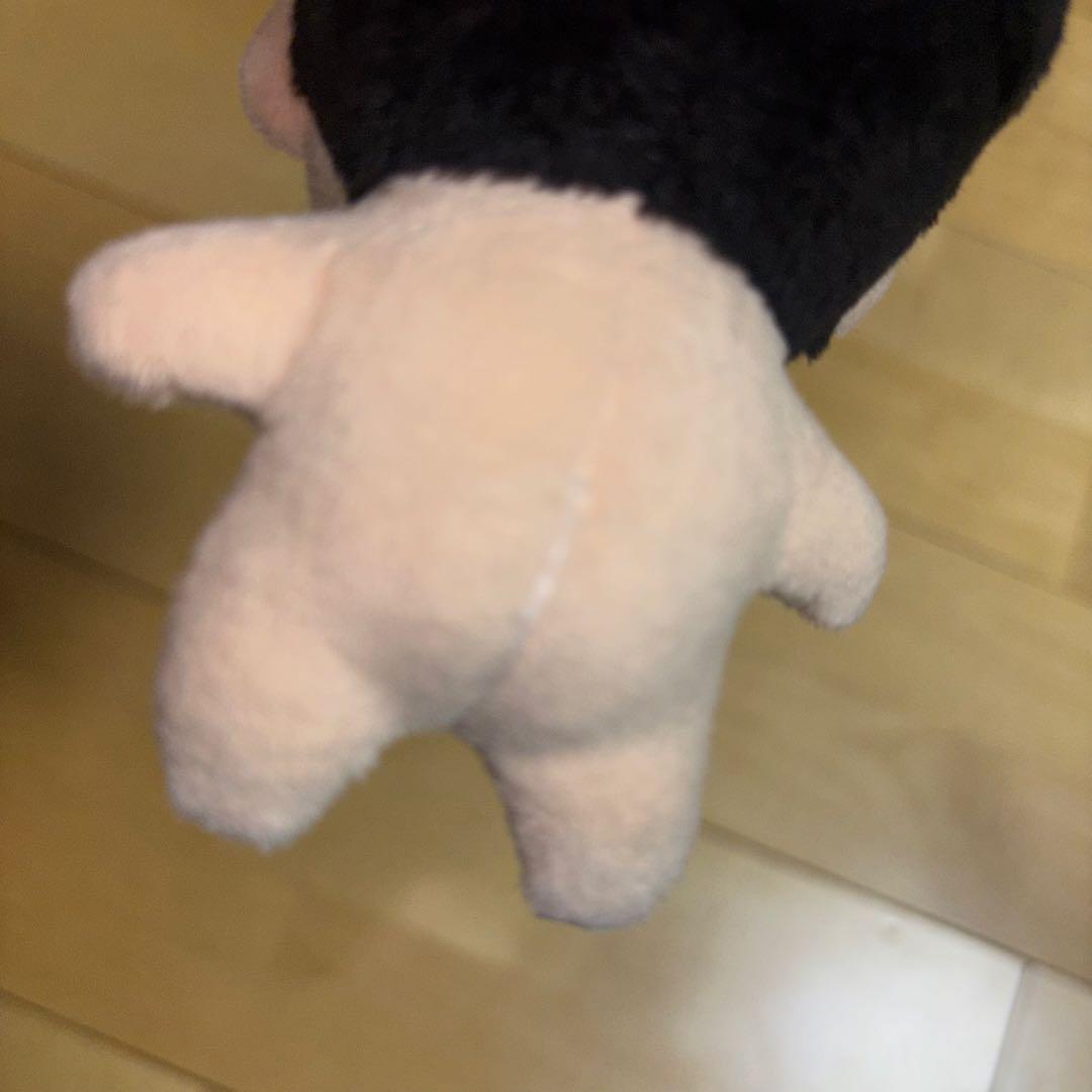 チャウヌ ぬいぐるみ 10cm