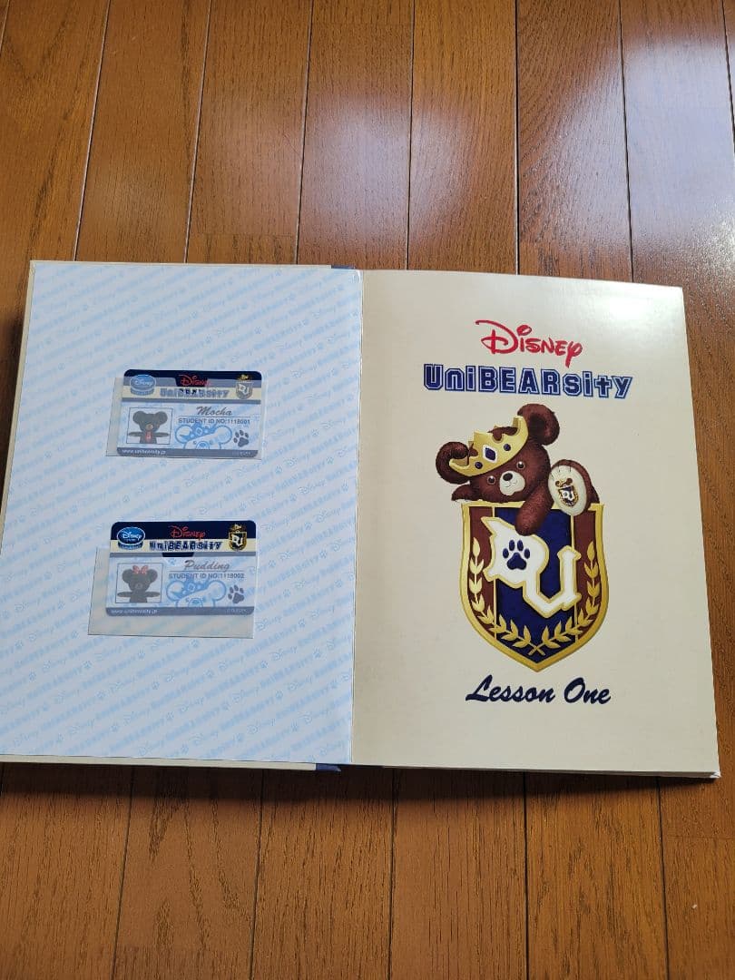 Disney UniBEARsity Lesson One IDカード付き