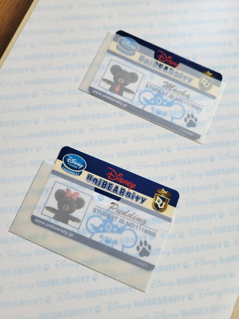 Disney UniBEARsity Lesson One IDカード付き