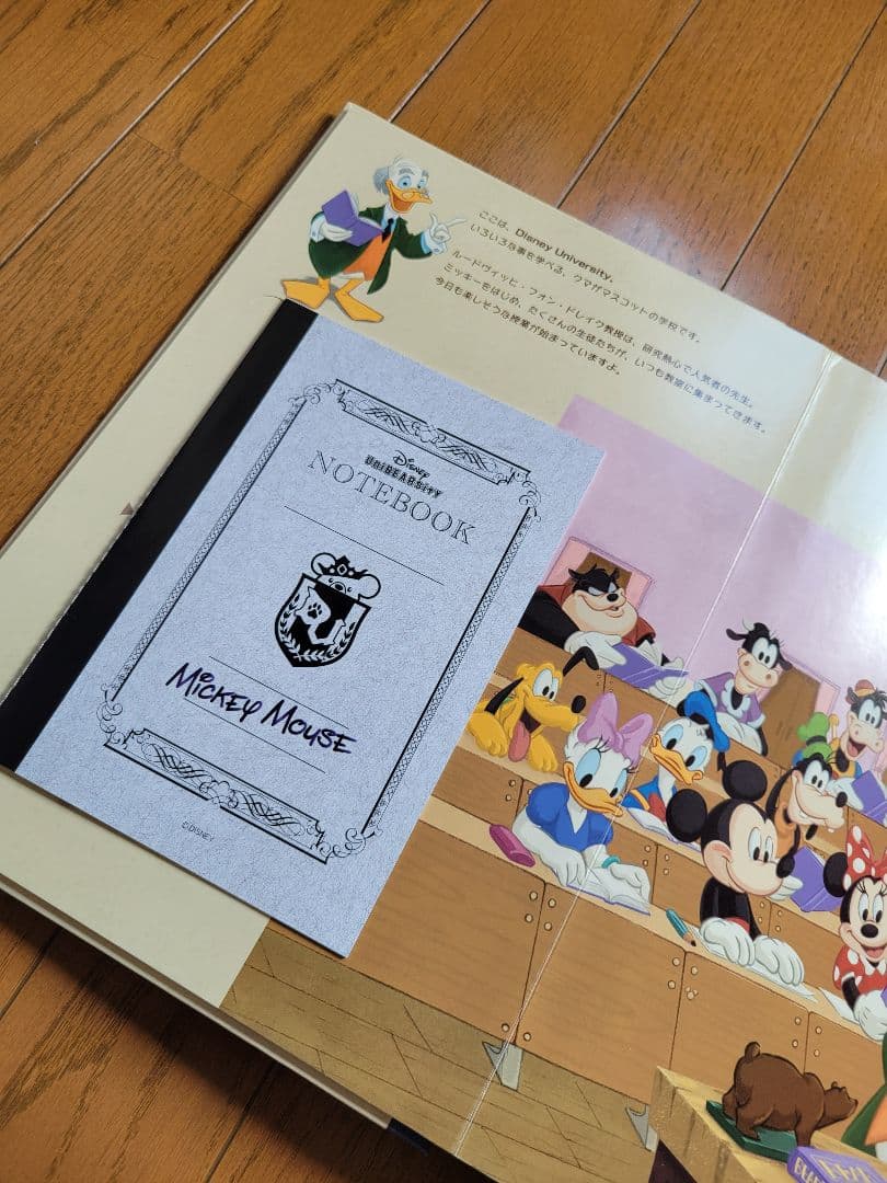 Disney UniBEARsity Lesson One IDカード付き