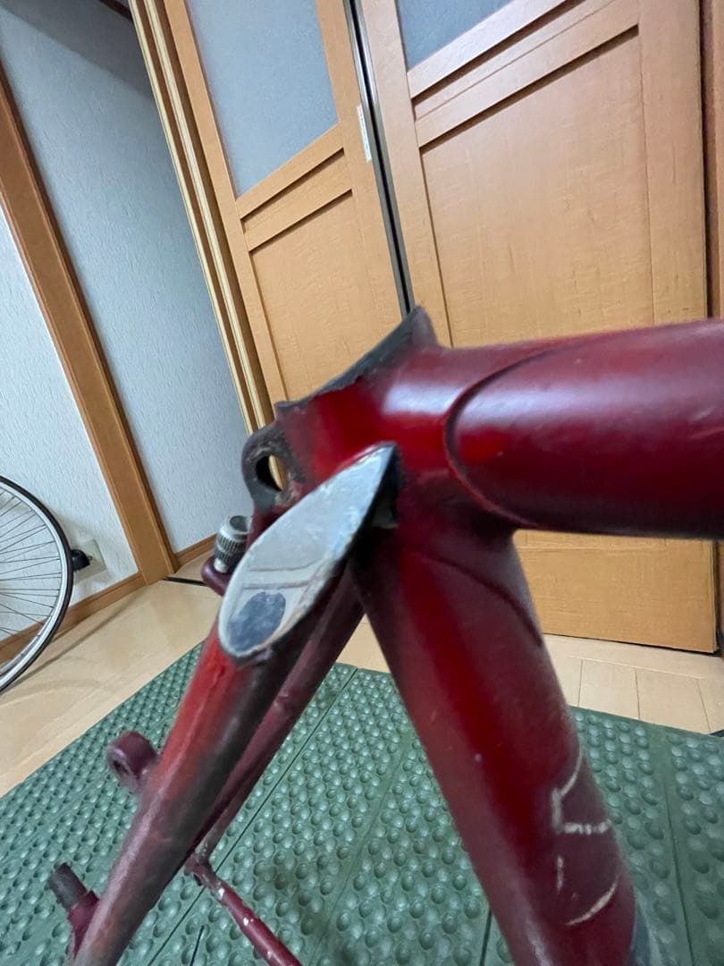 ヒラメ　ランドナー
