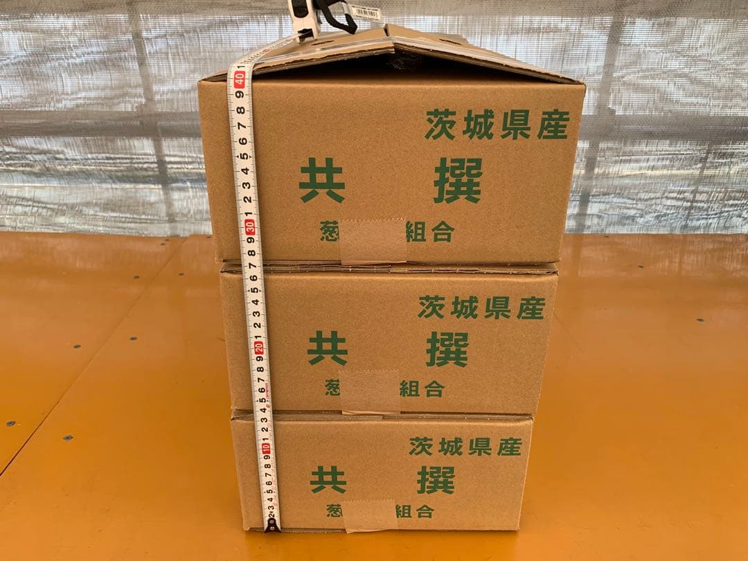 茨城県産 長ネギ 15キロ（5キロ×3箱）