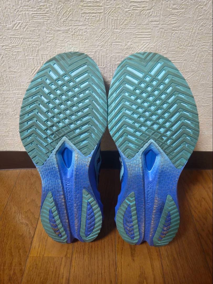 【限定カラー】SAUCONY ENDORPHIN SPEED 4／29㎝