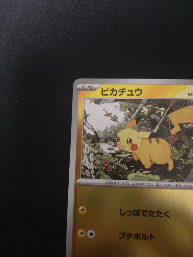 ピカチュウ ミラー まとめ売り スタートデッキ
