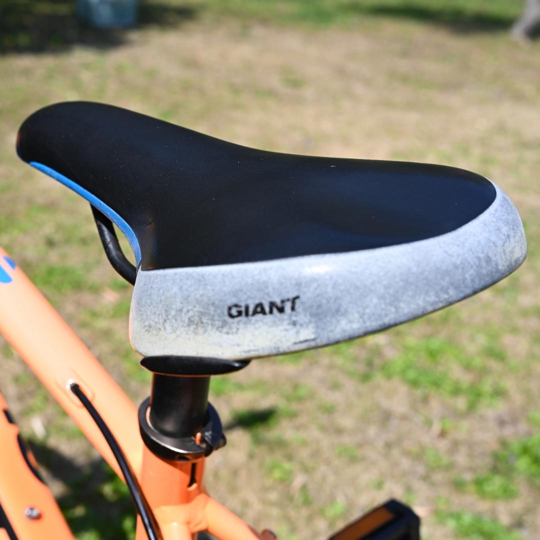 GIANT TCX ESPOIR 24インチ キッズバイク