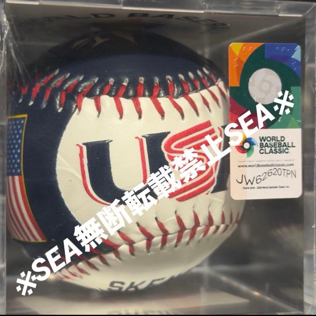 超激レア　WBC アメリカ代表 スキーンズ 記念ボール（No.28/30）即完売