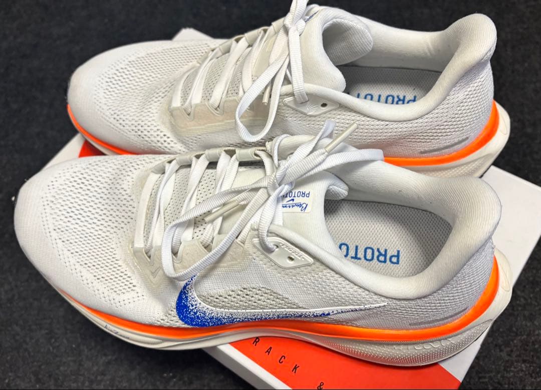 Nike ペガサス 41 ブループリント 極美品【28.0cm】Pegasus