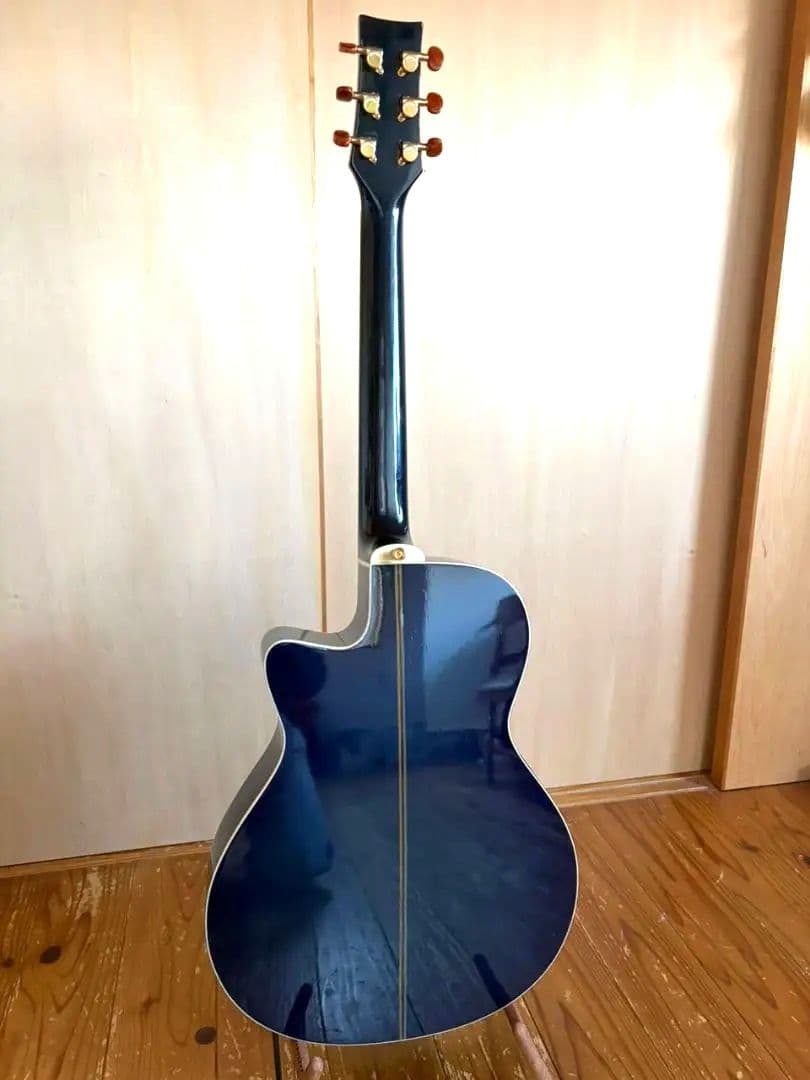 【送料込】【美品】Morris Rumbler エレアコ　整備済