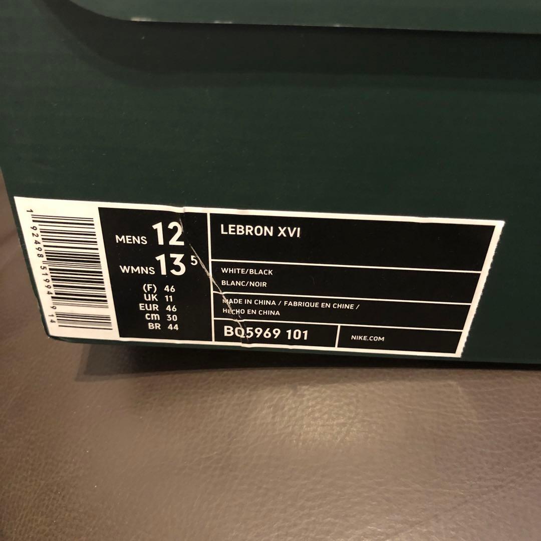 シューズ(男性用) NIKE LEBRON 16 EQUALITY PACK 30cm