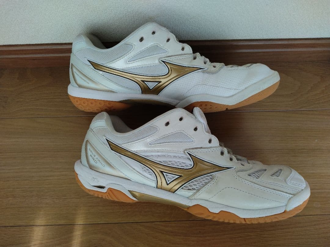 Mizuno ウェーブファング プロ 25.5cm