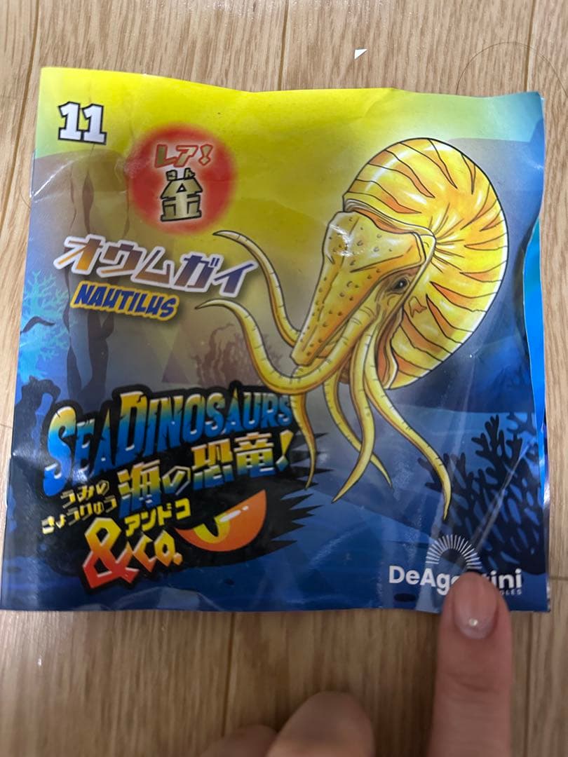 海 恐竜 アンドコ ブックレット