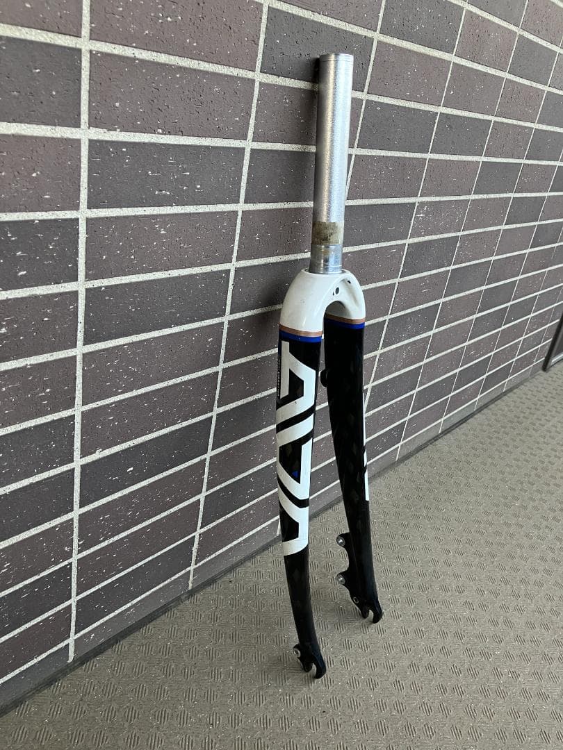 カーボンフォーク