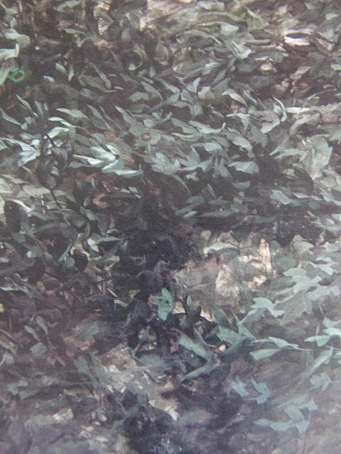佐々木信平、【風の果て】、希少な大判額装用画集より、美品、日本人画家