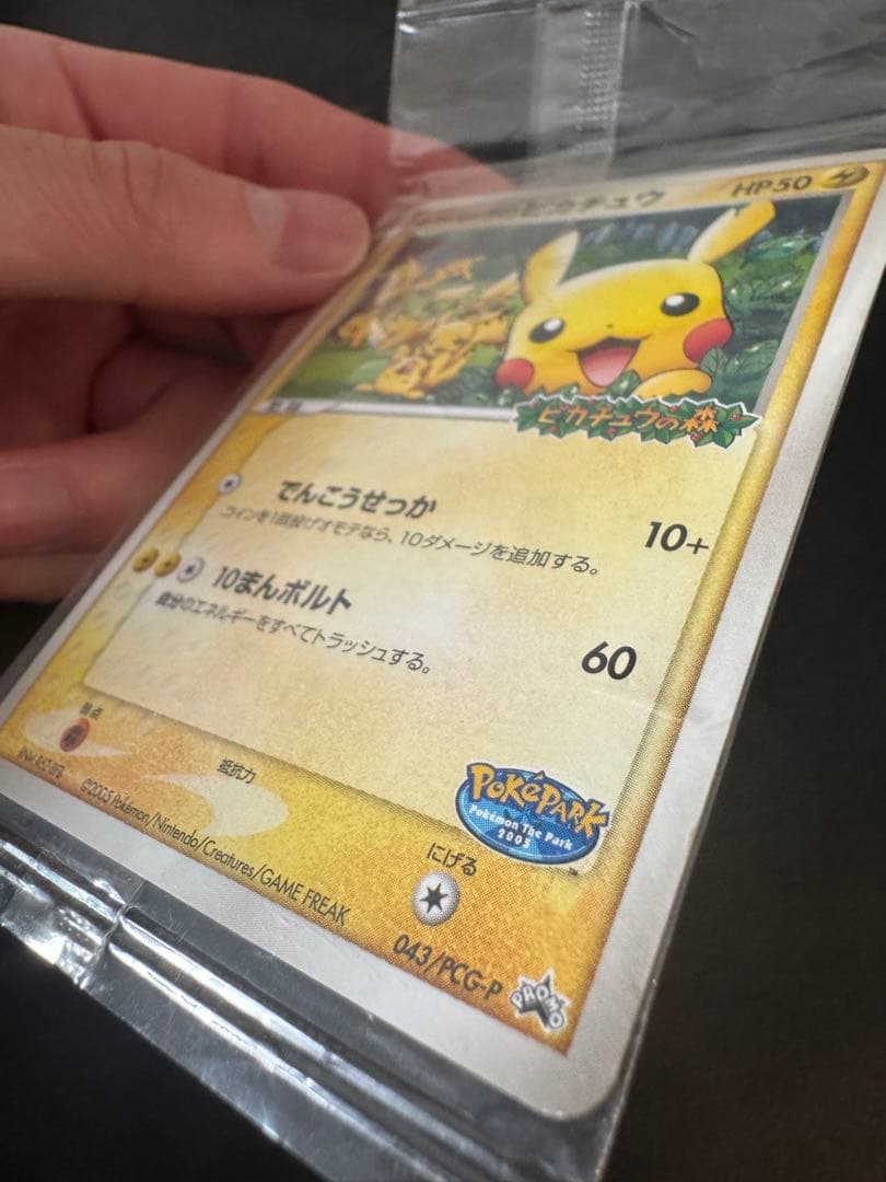 ポケパークのピカチュウ 未開封 美品