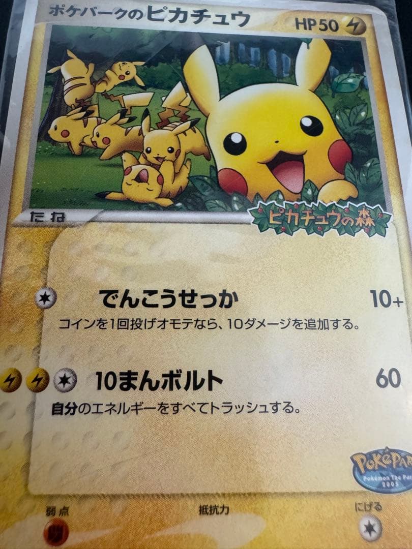 ポケパークのピカチュウ 未開封 美品