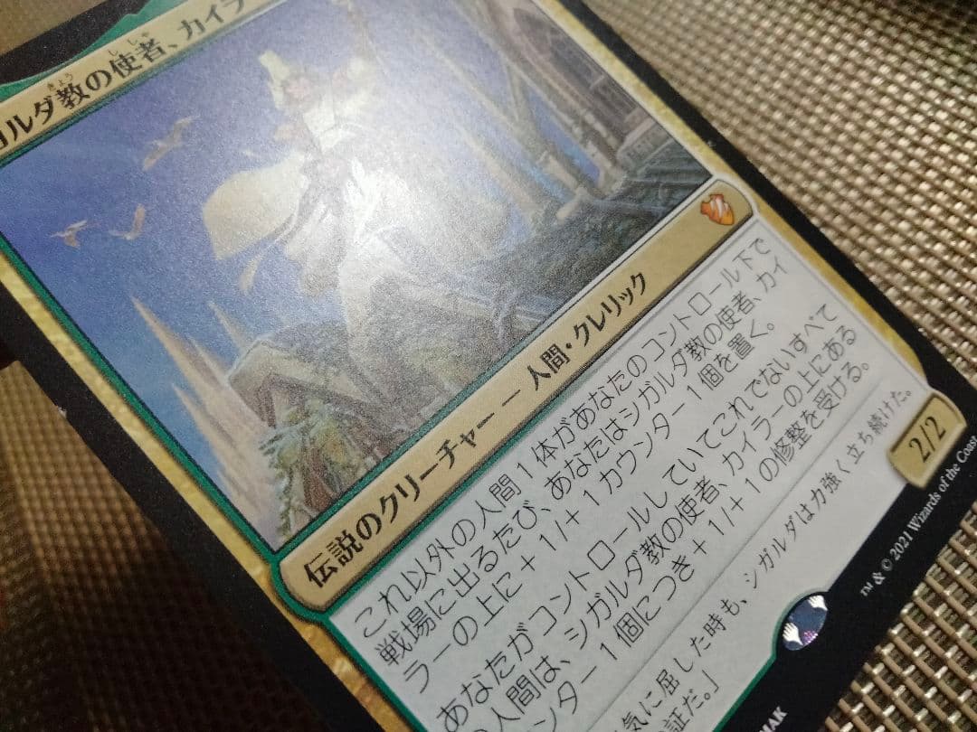 【ご確認用】MIC シガルダ教の使者、カイラー 日本語 1枚 MTG