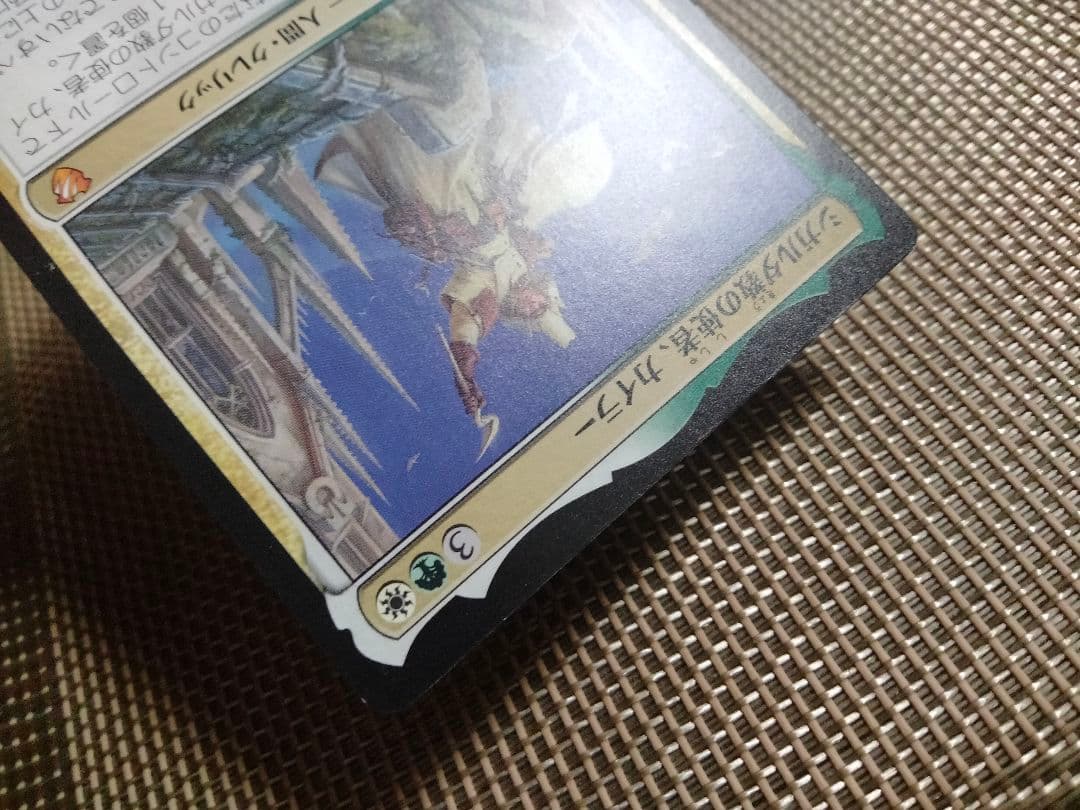 【ご確認用】MIC シガルダ教の使者、カイラー 日本語 1枚 MTG