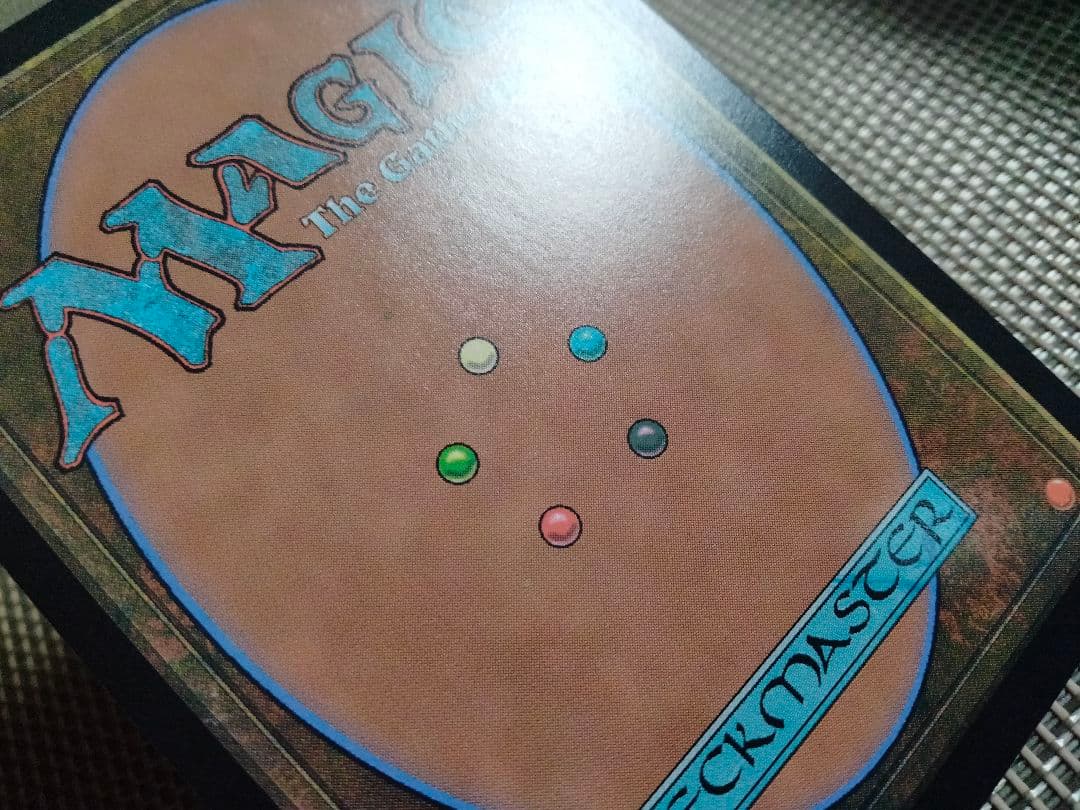 【ご確認用】MIC シガルダ教の使者、カイラー 日本語 1枚 MTG