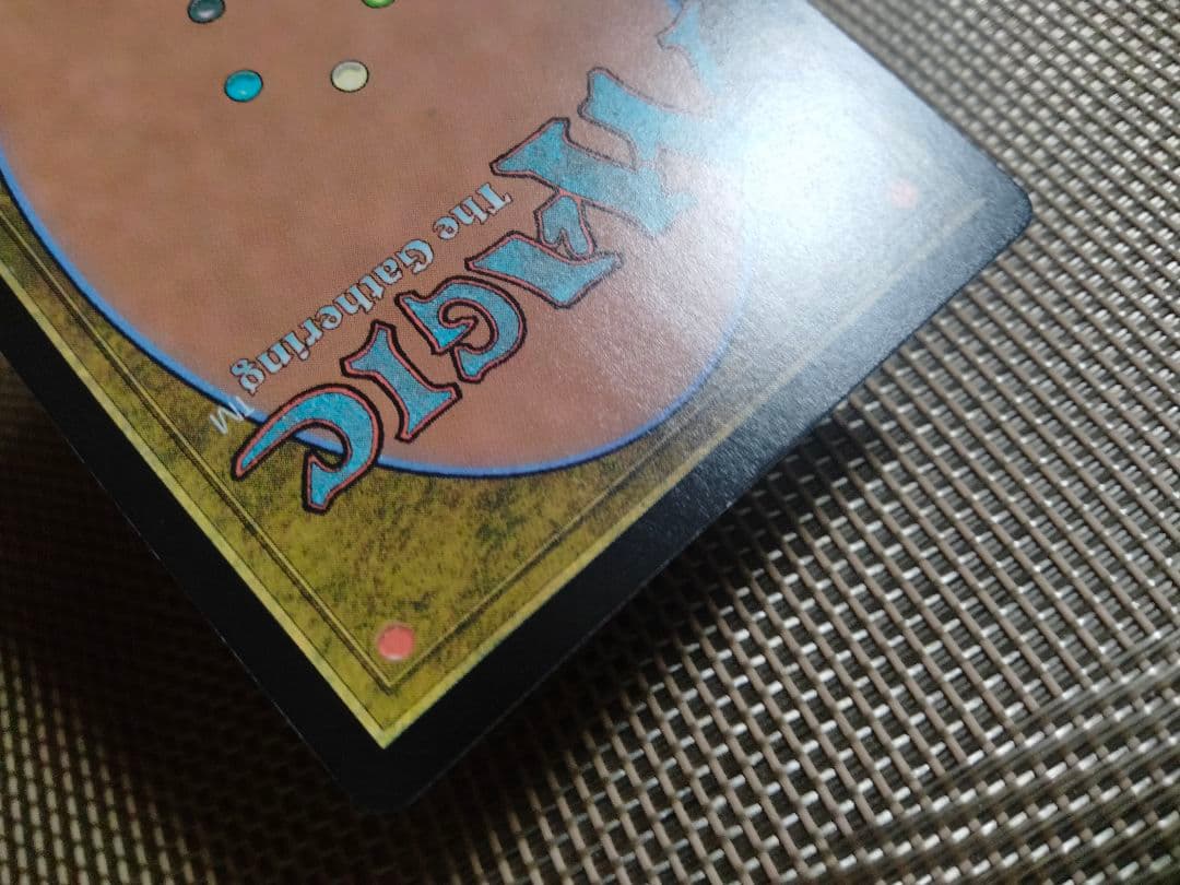 【ご確認用】MIC シガルダ教の使者、カイラー 日本語 1枚 MTG