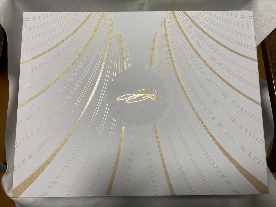 レブロン21 LeBron Prime プライム 30.5cm