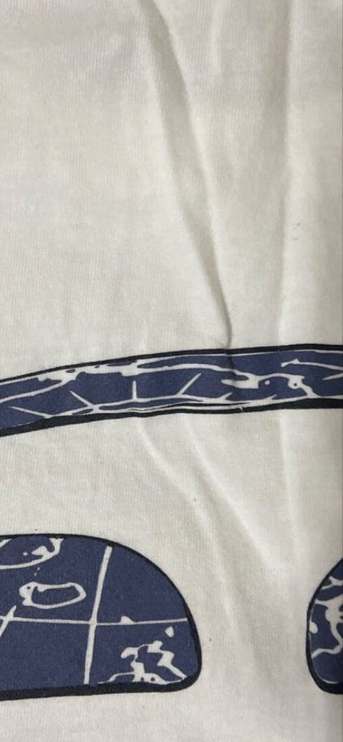 TEAM TENSHIN ボクシングTシャツ 2024両国