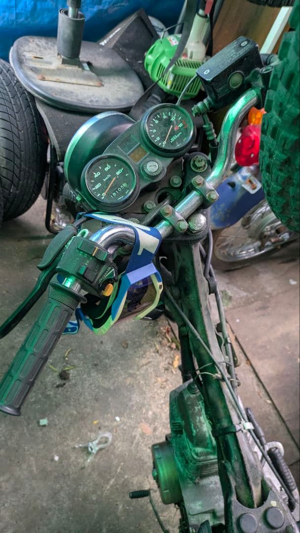 cb50s　素揚げ