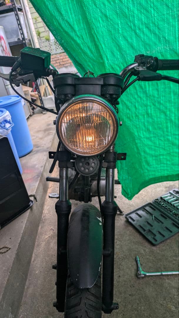 cb50s　素揚げ