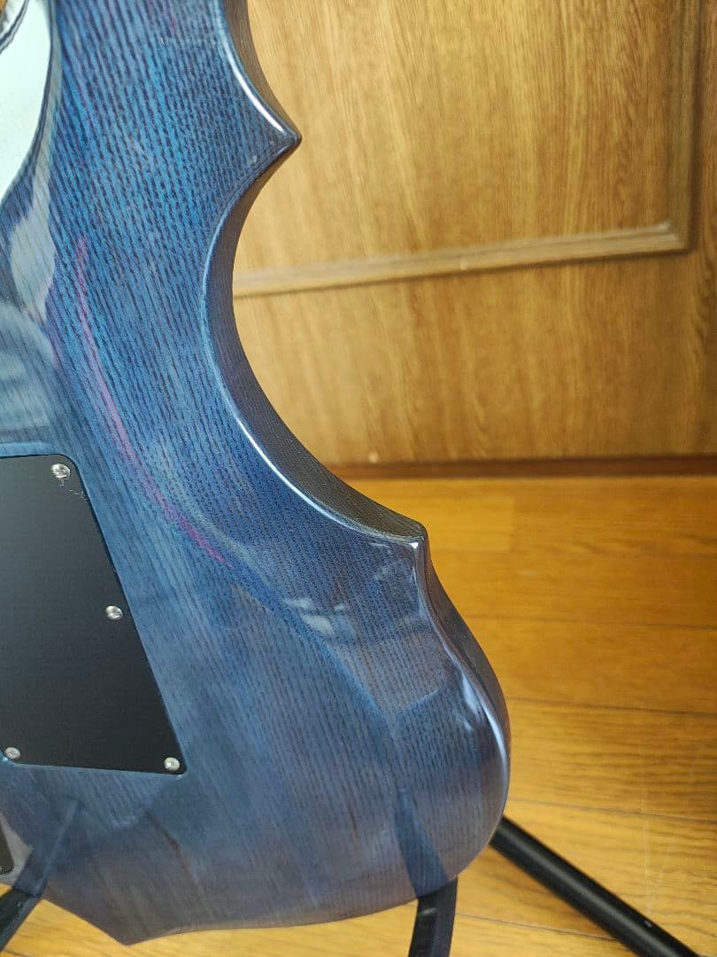 エレキギター フォレストGrass Roots by ESP G-FR-62GT